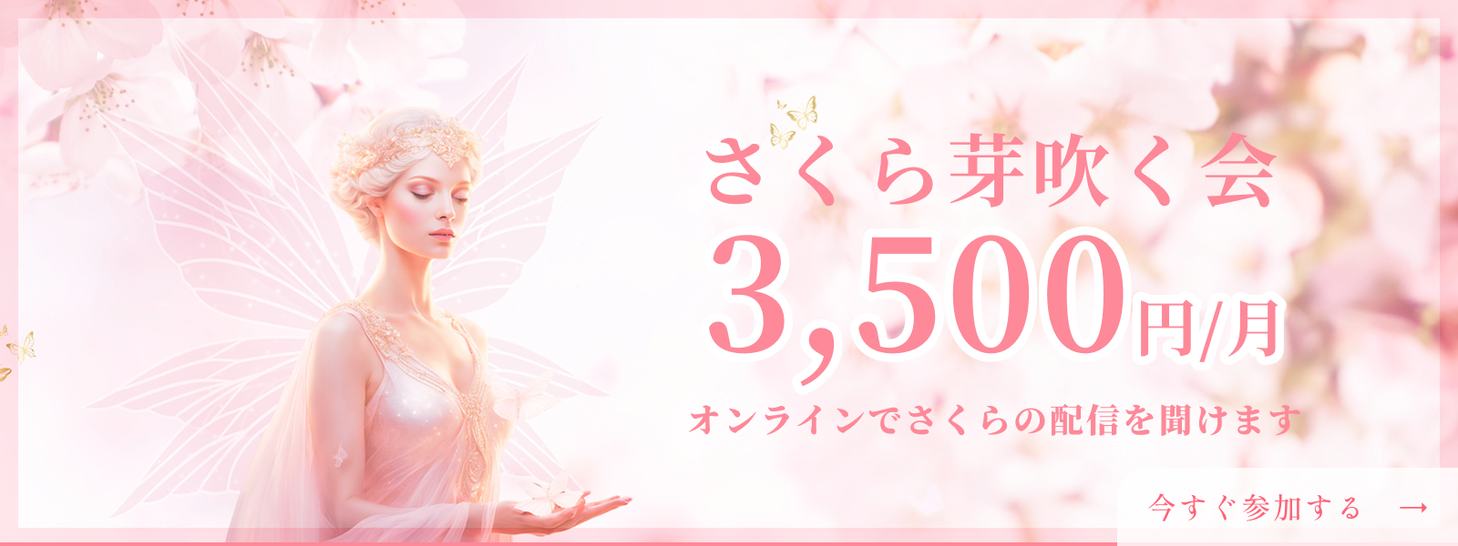 さくら芽吹く会　3,500円/月　オンラインでさくらの配信を聞けます　今すぐ参加する